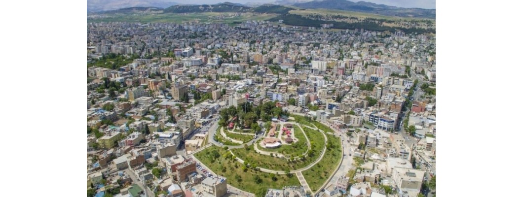 Adıyaman'a Doğal Lezzet: Zeytinyağı.net'in Organik Zeytin ve Zeytinyağı Ürünleri