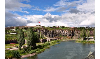 Ardahan’da Organik ve %100 Doğal Zeytin ve Zeytinyağının Faydaları: Zeytinyağı.net ile Tanışın