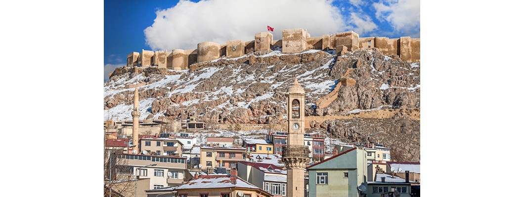 Bayburt'ta Organik ve %100 Doğal Zeytin ile Zeytinyağı Lezzeti