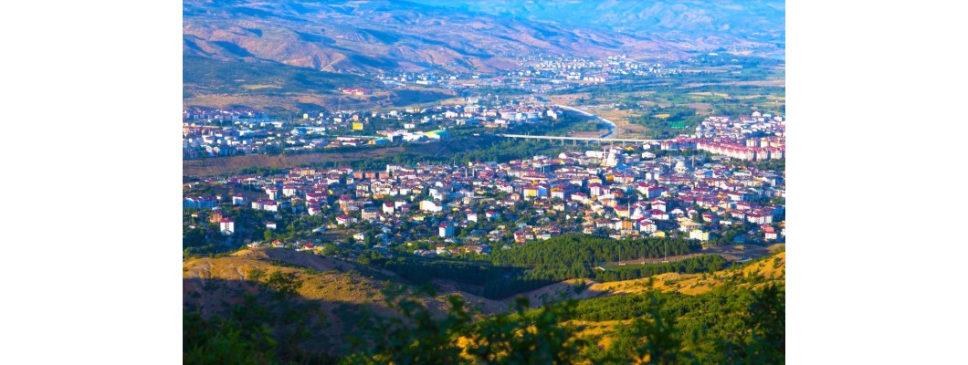 Bingöl'de Doğanın Lezzeti: Organik ve %100 Doğal Zeytin ile Zeytinyağı