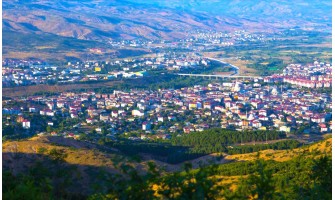 Bingöl'de Doğanın Lezzeti: Organik ve %100 Doğal Zeytin ile Zeytinyağı