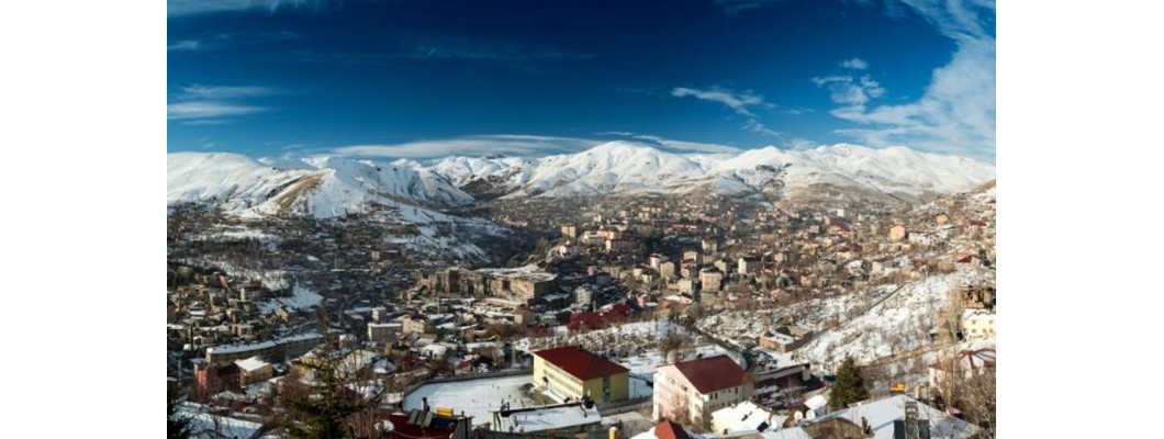 Bitlis’te Organik Zeytin ve Zeytinyağı ile Tanışın: Zeytinyağı.net