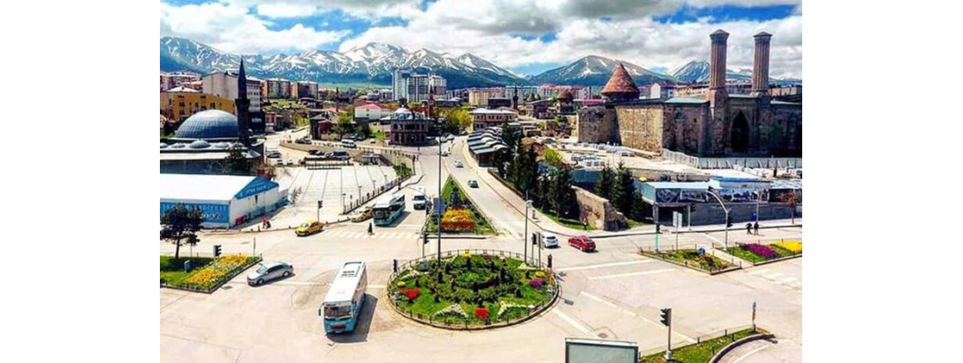 Erzurum'da Organik ve %100 Doğal Zeytin ile Zeytinyağı Tanıtımı