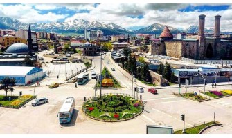 Erzurum'da Organik ve %100 Doğal Zeytin ile Zeytinyağı Tanıtımı