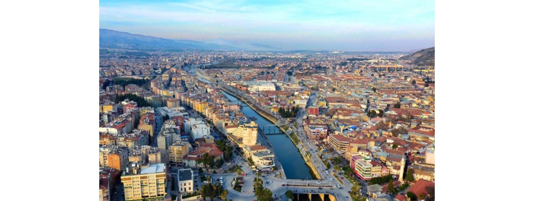 Hatay’da Organik ve %100 Doğal Zeytin ve Zeytinyağı: Zeytinyağı.net’ten Doğanın Saf Lezzeti