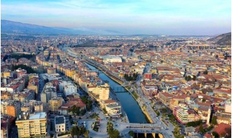 Hatay’da Organik ve %100 Doğal Zeytin ve Zeytinyağı: Zeytinyağı.net’ten Doğanın Saf Lezzeti