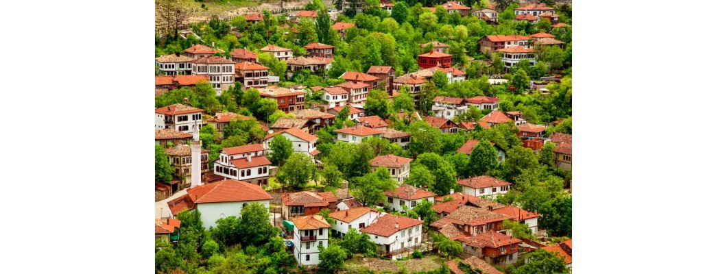 Karabük'te Organik Zeytin ve Zeytinyağı Türevleriyle Tanışan Doğalık