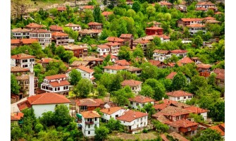 Karabük'te Organik Zeytin ve Zeytinyağı Türevleriyle Tanışan Doğalık