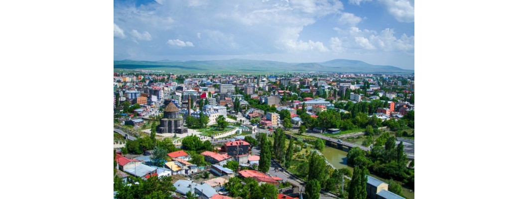 Kars'ta Organik Zeytinyağı ve Doğal Zeytinlerin Sağlık Dolu Yolculuğu