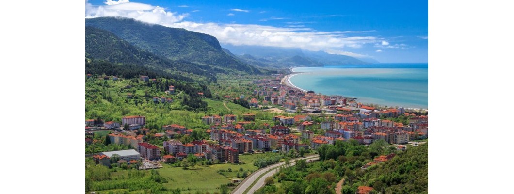 Kastamonu’da Organik ve Doğal Zeytin ile Zeytinyağına Yeni Bir Soluk: Zeytinyağı.net