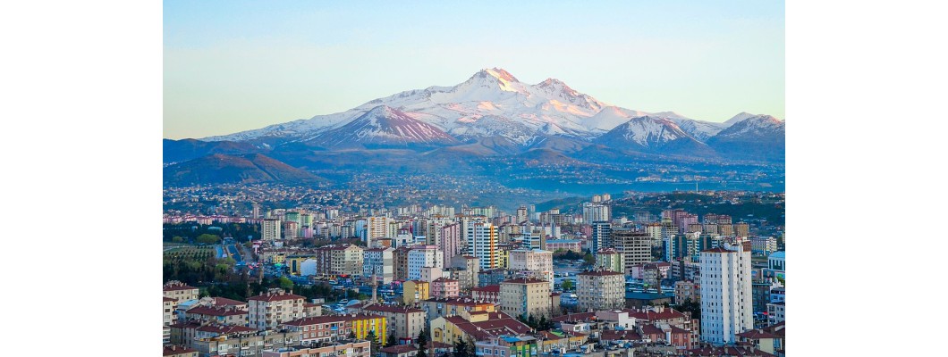 Kayseri’de Doğal ve Organik Zeytin Ürünleri: Zeytinyağı.net