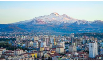 Kayseri’de Doğal ve Organik Zeytin Ürünleri: Zeytinyağı.net