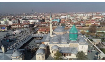 Konya Halkına Organik ve %100 Doğal Zeytin ve Zeytinyağı Sunuyoruz