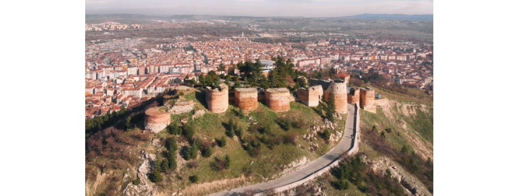 Kütahya'da Organik ve %100 Doğal Zeytin ve Zeytinyağının Tanıtımı | Zeytinyağı.net