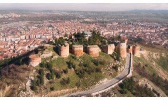 Kütahya'da Organik ve %100 Doğal Zeytin ve Zeytinyağının Tanıtımı | Zeytinyağı.net