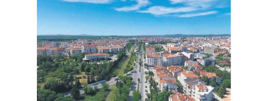 Kırklareli'nde Organik Zeytinyağı ve Doğal Zeytinlerin Gücü