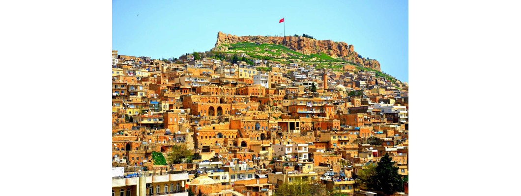 Mardin’e Organik ve %100 Doğal Zeytinyağı Tanıtımı: Zeytinyağı.net ile Lezzetli ve Sağlıklı Bir Deneyim