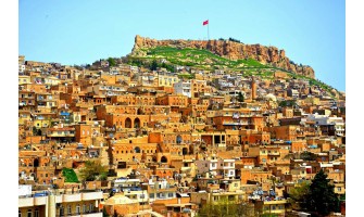 Mardin’e Organik ve %100 Doğal Zeytinyağı Tanıtımı: Zeytinyağı.net ile Lezzetli ve Sağlıklı Bir Deneyim