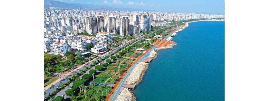 Mersin'de Organik ve %100 Doğal Zeytinyağı: Zeytinyağı.net ile Sağlıklı Yaşam