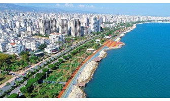 Mersin'de Organik ve %100 Doğal Zeytinyağı: Zeytinyağı.net ile Sağlıklı Yaşam