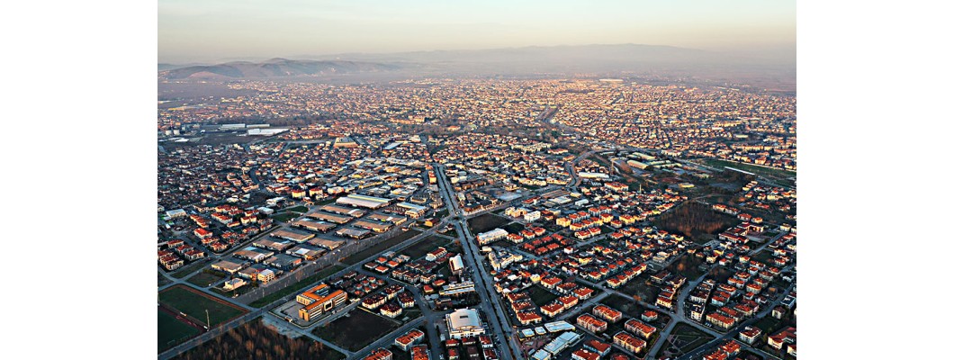 Sakarya’da Organik ve %100 Doğal Zeytin ve Zeytinyağı Keyfi