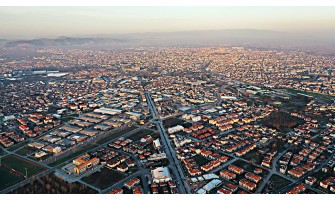 Sakarya’da Organik ve %100 Doğal Zeytin ve Zeytinyağı Keyfi