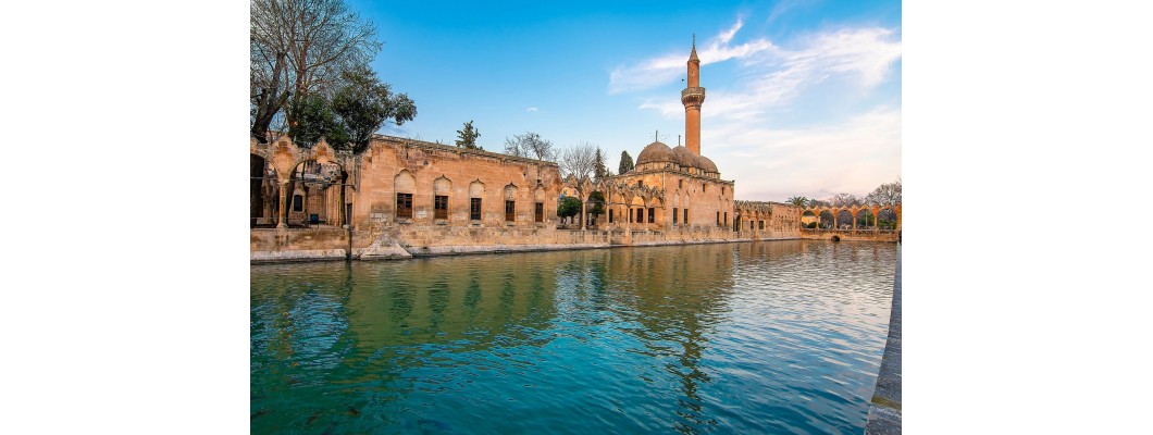 Şanlıurfa’da Organik ve %100 Doğal Zeytin ve Zeytinyağı Tanıtımı