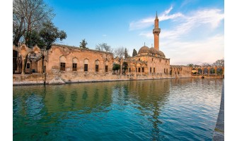 Şanlıurfa’da Organik ve %100 Doğal Zeytin ve Zeytinyağı Tanıtımı