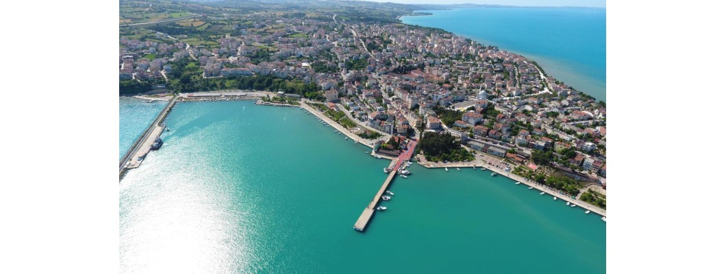 Sinop'ta Organik Zeytin ve Zeytinyağı ile Doğallığı Keşfedin