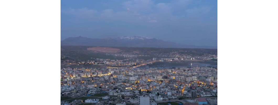 Zeytinyağı.net: Şırnak’ta Organik ve %100 Doğal Zeytinyağının Eşsiz Lezzetiyle Tanışın