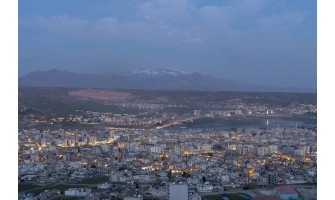 Zeytinyağı.net: Şırnak’ta Organik ve %100 Doğal Zeytinyağının Eşsiz Lezzetiyle Tanışın