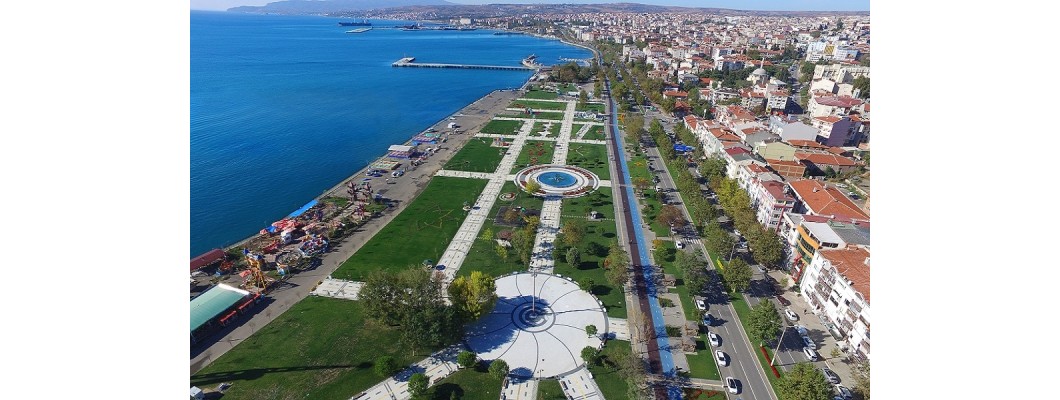 Tekirdağ’da Zeytinyağının Doğal Lezzeti: Zeytinyağı.net ile Organik ve %100 Doğal Zeytinyağınızı Keşfedin