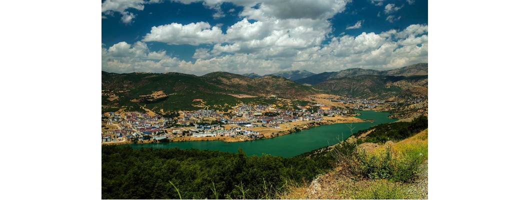 Tunceli’de Doğal Zeytin ve Zeytinyağının Tadını Keşfedin: Zeytinyağı.net’in Organik Ürünleri